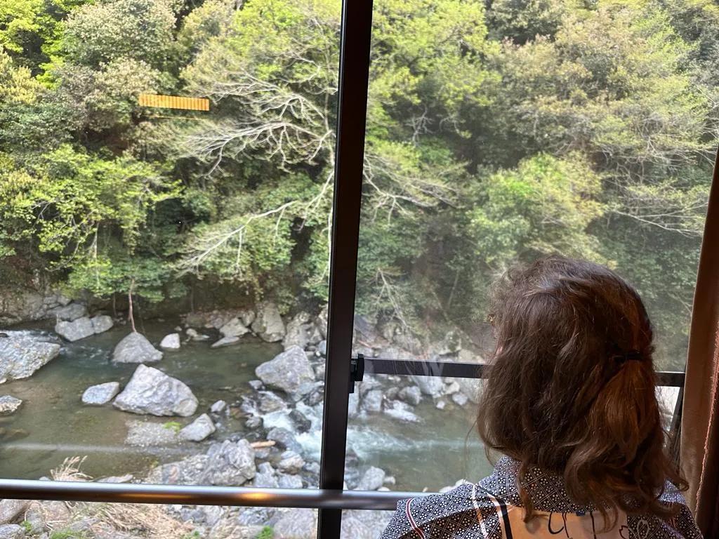 Two Nerdy Cats owner, Cassandra, wearing a kimono looking at a river through a window
