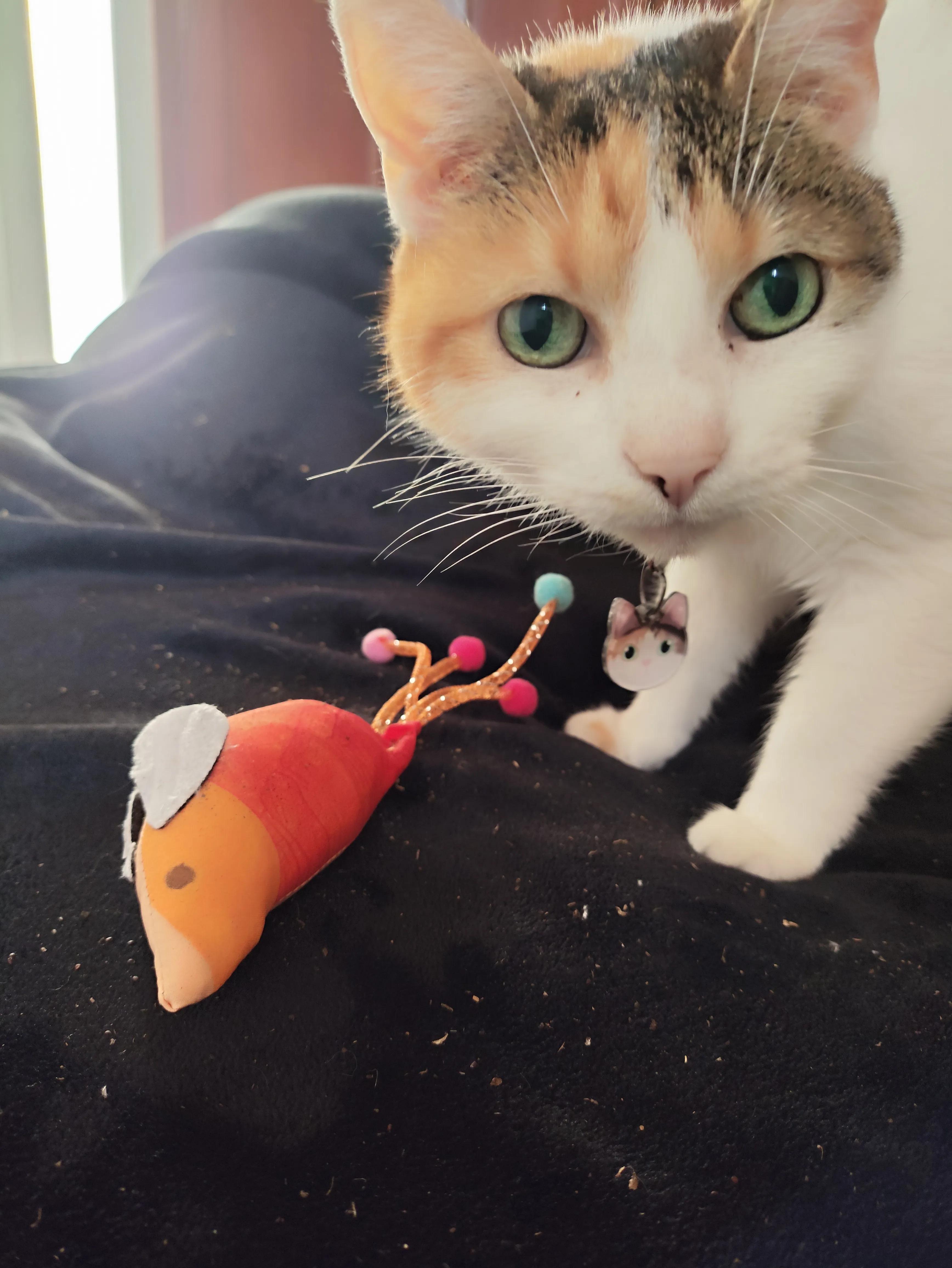 Amelia looking at a handmade mouse toy